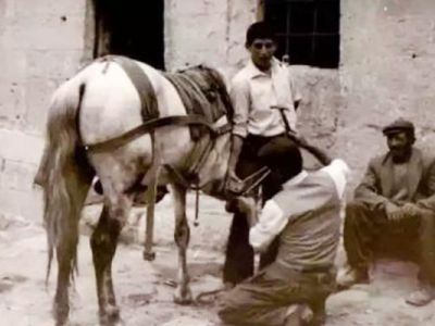 12 Nisan 1956 İstanbul'da Nalbantlar Kongresi yapıldı.